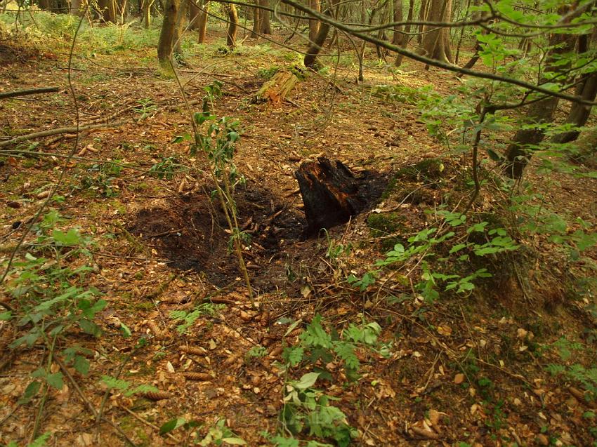 Waldbrand Bergisch Gladbach Bensberg P199.JPG